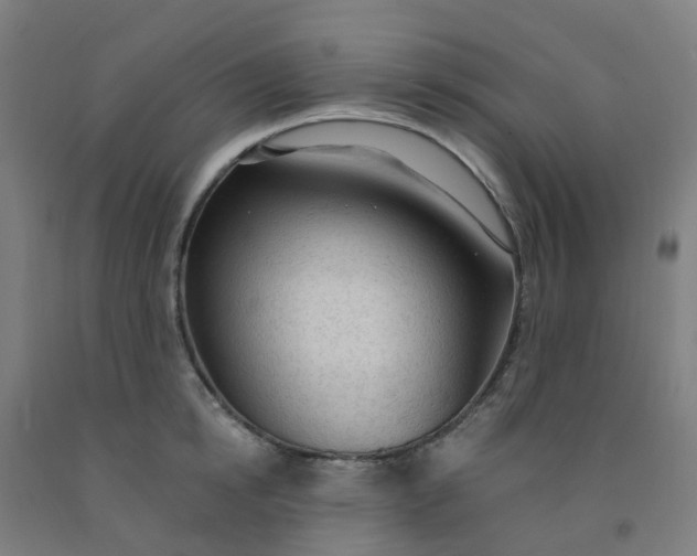 X0000091970854200709271405