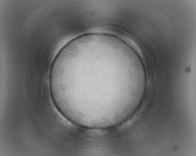 X0000091970855200709271405