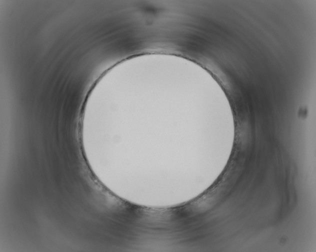 X0000091970856200709271406