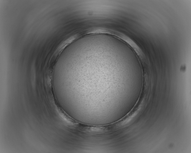 X0000091970857200709271406