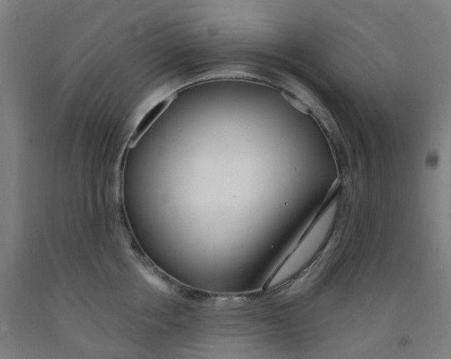 X0000091970858200709271406