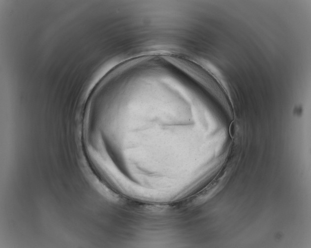 X0000091970859200709271406