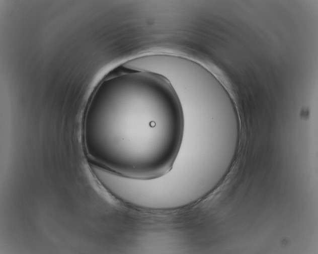 X0000091970862200709271406