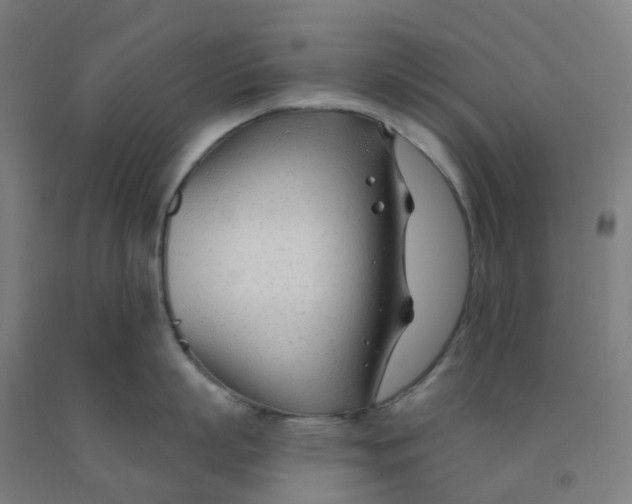 X0000091970863200709271406