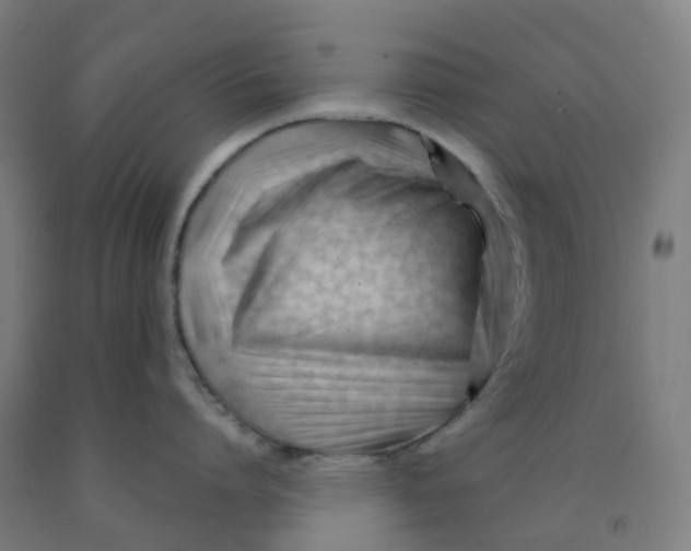 X0000091970864200709271406