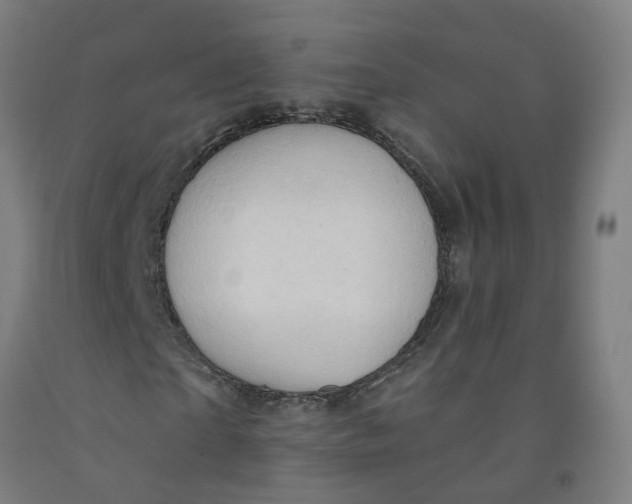 X0000091970865200709271405
