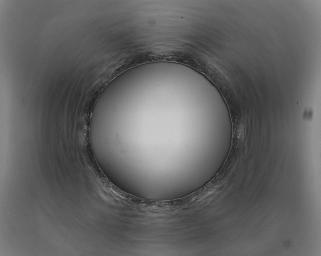 X0000091970868200709271405