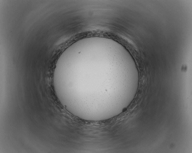 X0000091970869200709271405