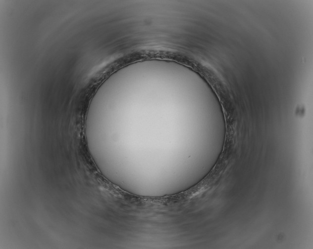 X0000091970870200709271405