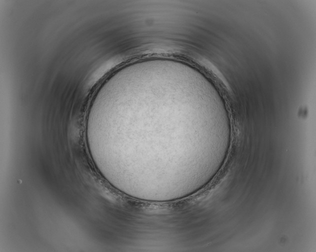 X0000091970874200709271405