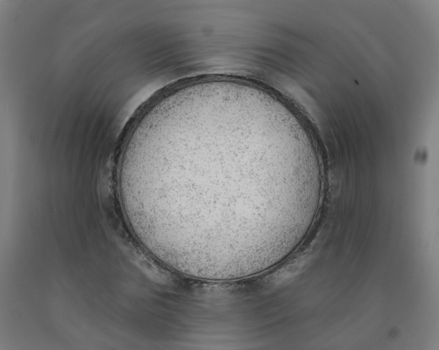 X0000091970875200709271405