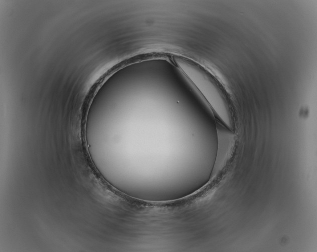 X0000091970877200709271405