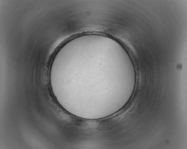 X0000091970878200709271405