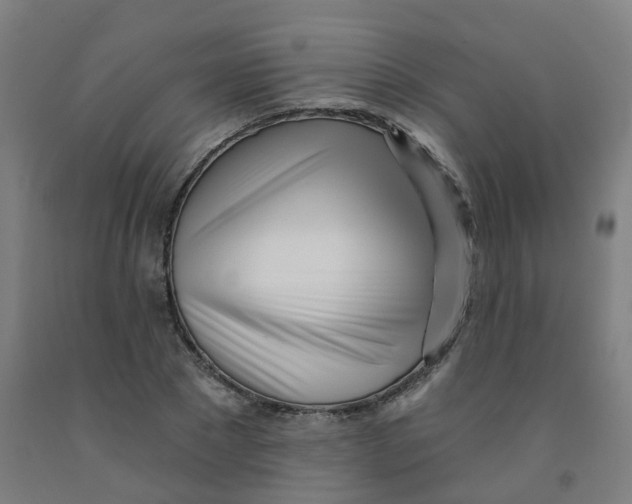 X0000091970881200709271405