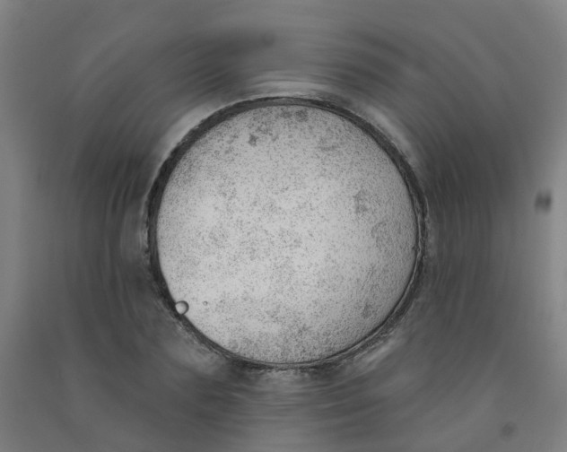 X0000091970883200709271405