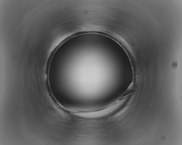 X0000091970885200709271405