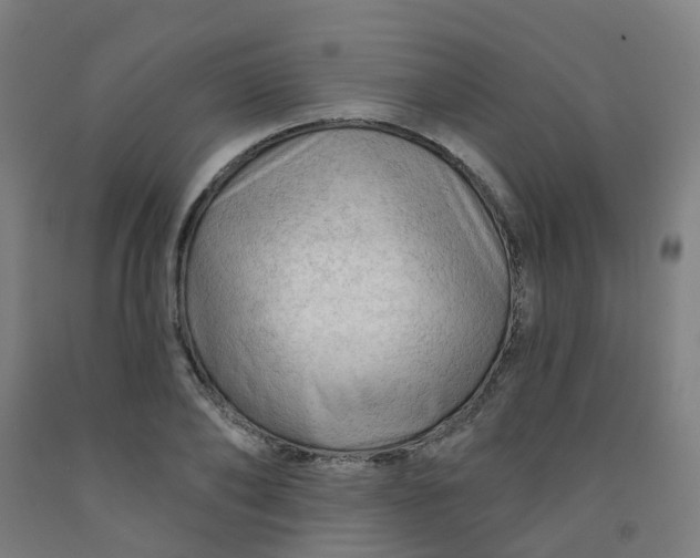 X0000091970886200709271405