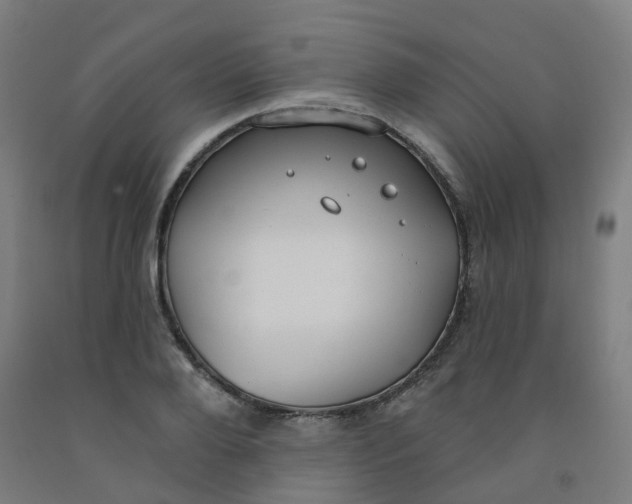 X0000091970888200709271405