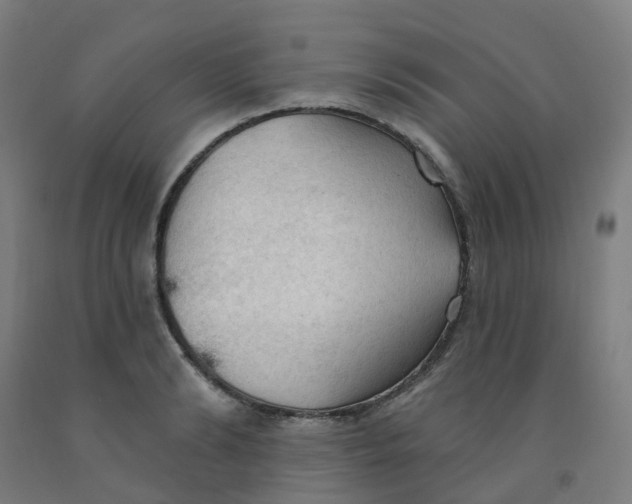 X0000091970894200709271405