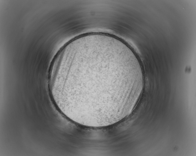 X0000091970895200709271405