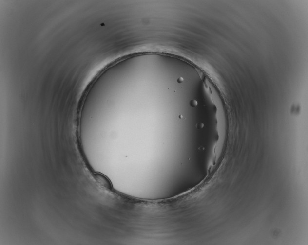 X0000091970896200709271405