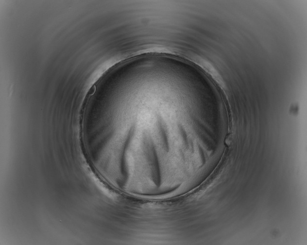 X0000091970898200709271405