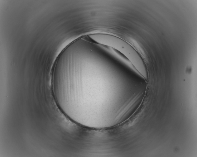 X0000091970900200709271405