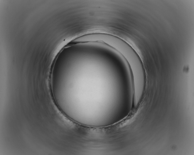 X0000091970901200709271405
