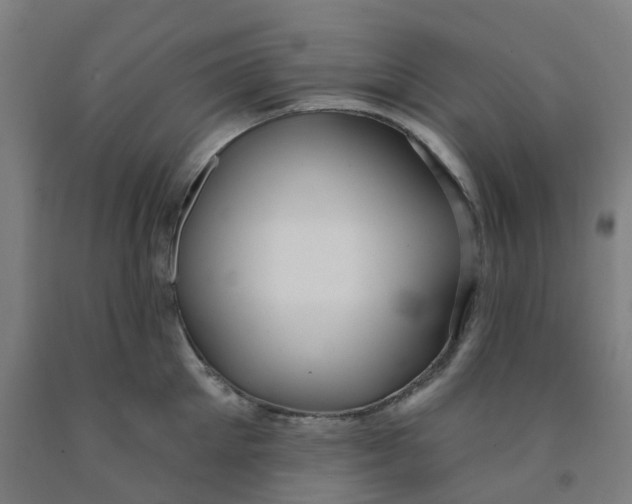 X0000091970905200709271405