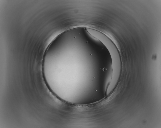 X0000091970906200709271405