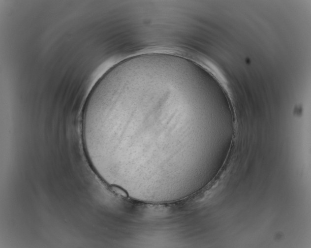 X0000091970907200709271404