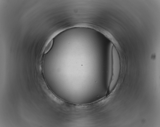 X0000091970908200709271404