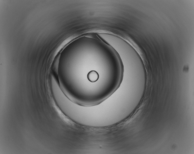 X0000091970909200709271404