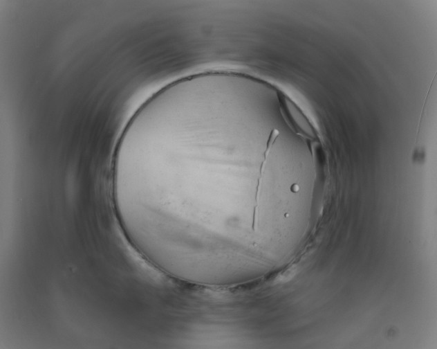 X0000091970911200709271404