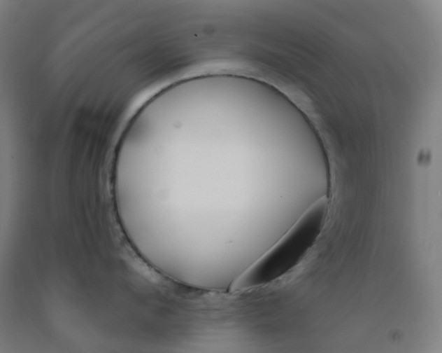 X0000091970912200709271404