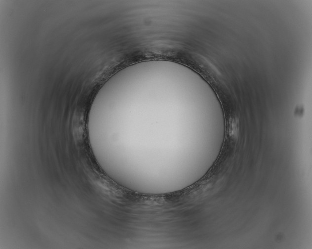 X0000091970915200709271404