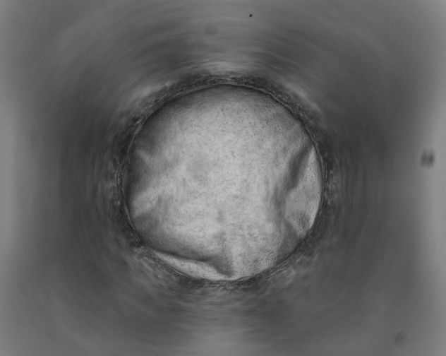 X0000091970917200709271404