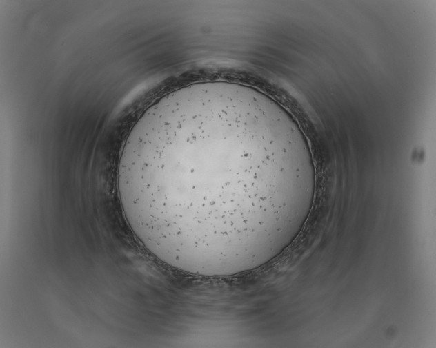 X0000091970919200709271404