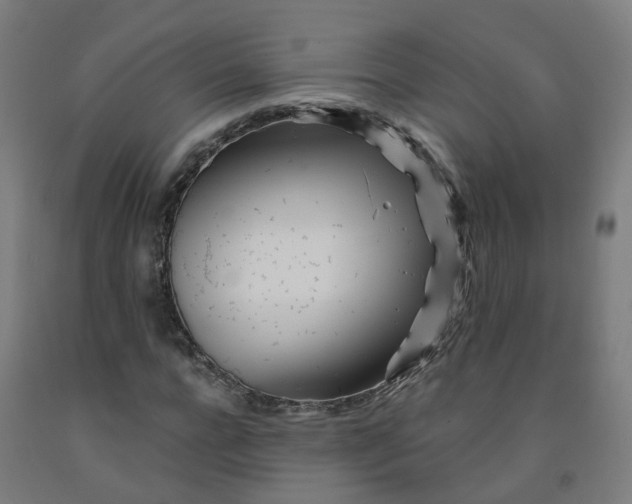 X0000091970920200709271404
