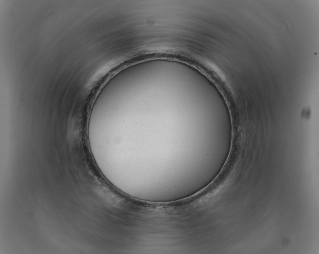 X0000091970922200709271404