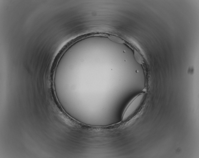 X0000091970924200709271404