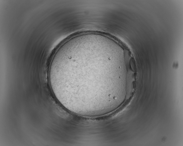 X0000091970925200709271404