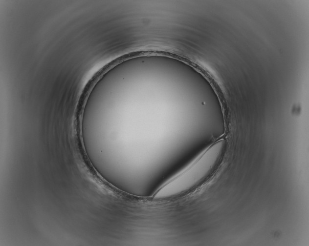 X0000091970928200709271404