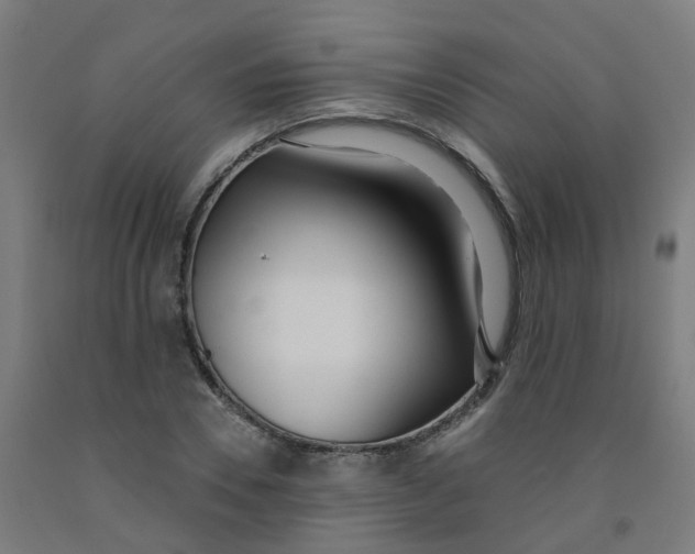 X0000091970930200709271404