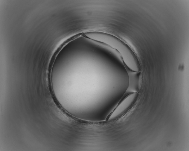 X0000091970932200709271404