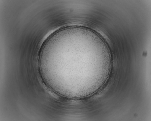 X0000091970933200709271404