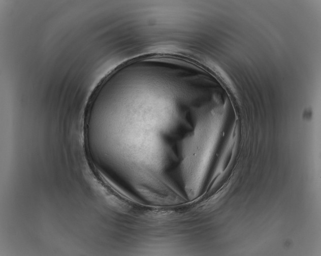 X0000091970939200709271404