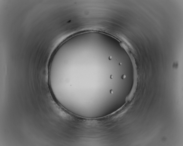 X0000091970940200709271404