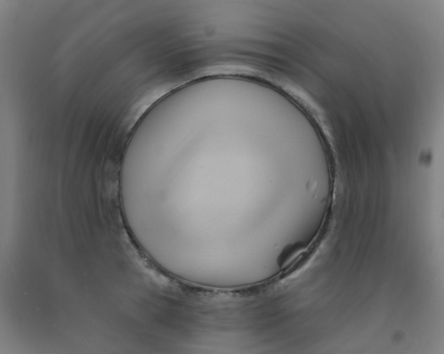 X0000091970945200709271404