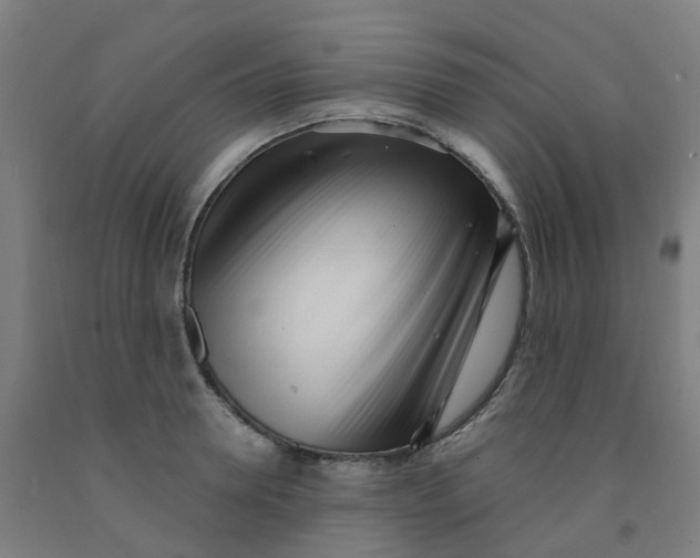 X0000091970946200709271404
